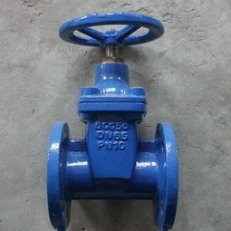 耐吉德閥門加盟 投資前景與加盟流程全解析