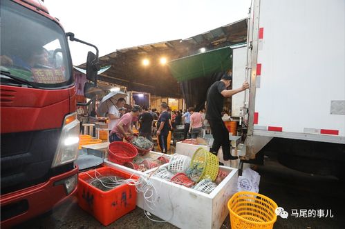 普惠金融推進(jìn)月 活水涌向水產(chǎn)與百貨，農(nóng)批貸精準(zhǔn)紓困解難題