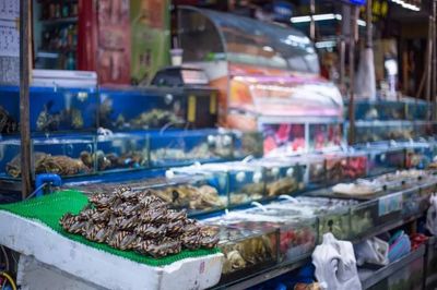 十萬“水軍”晝夜不息的傳奇謝幕 全國最大水產(chǎn)品批發(fā)市場(chǎng)的搬遷與日用百貨銷售的轉(zhuǎn)型