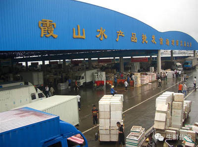 讓天下沒有難賣的魚蝦！探秘中國主要水產(chǎn)品批發(fā)市場(chǎng)