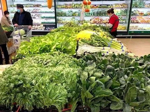 今日青島商超及批發市場果蔬價格走勢及日用品銷售觀察